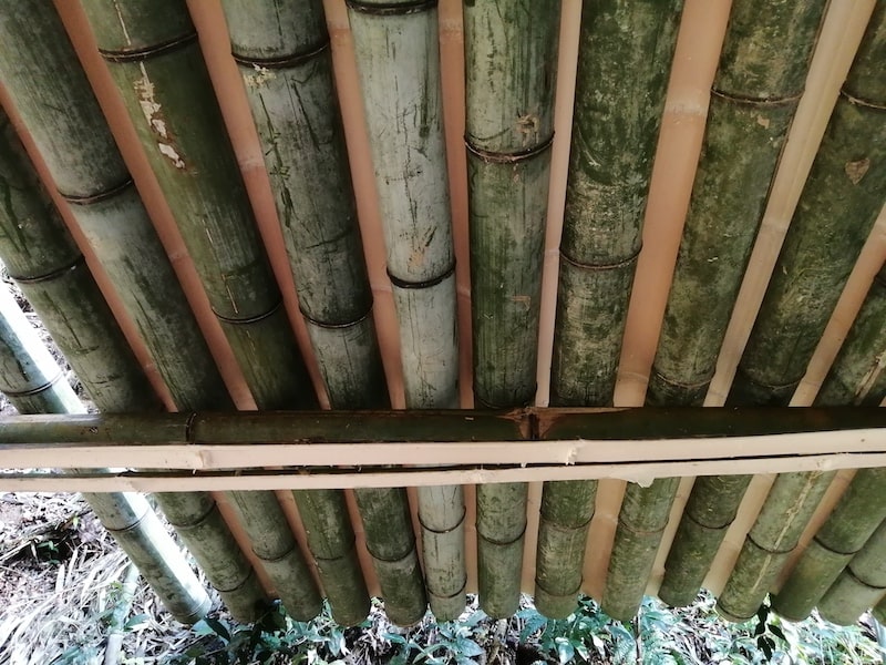 竹の屋根を小屋の中側から見上げる