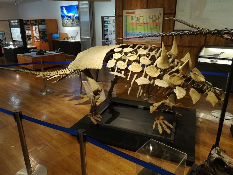 ガストニアの骨格標本